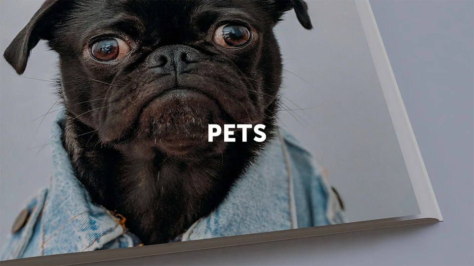 Photo of a self-published book on dogs representing the Lulu bookstore category pets